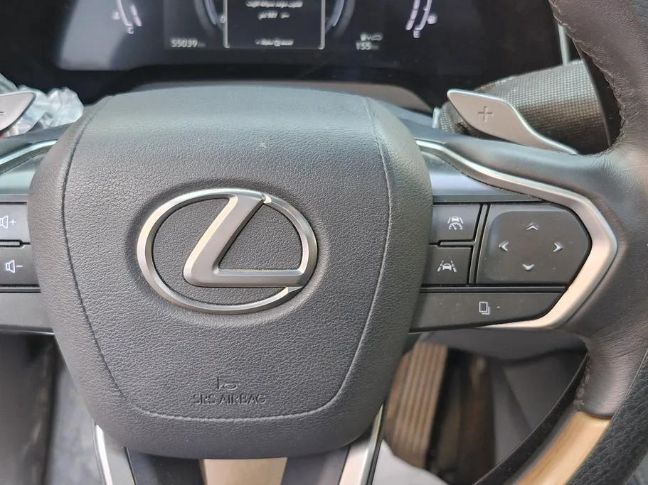2024 Lexus RX 350 BB Excellence 