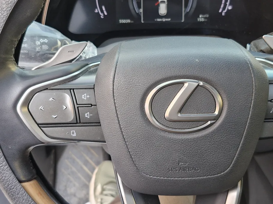 2024 Lexus RX 350 BB Excellence 