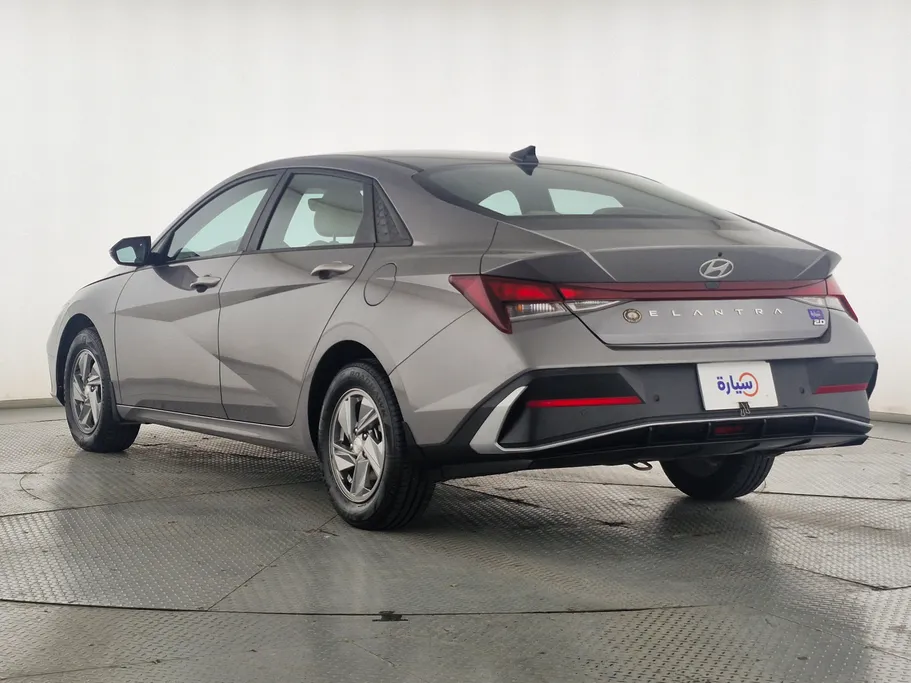 2024 Hyundai Elantra Fleet 