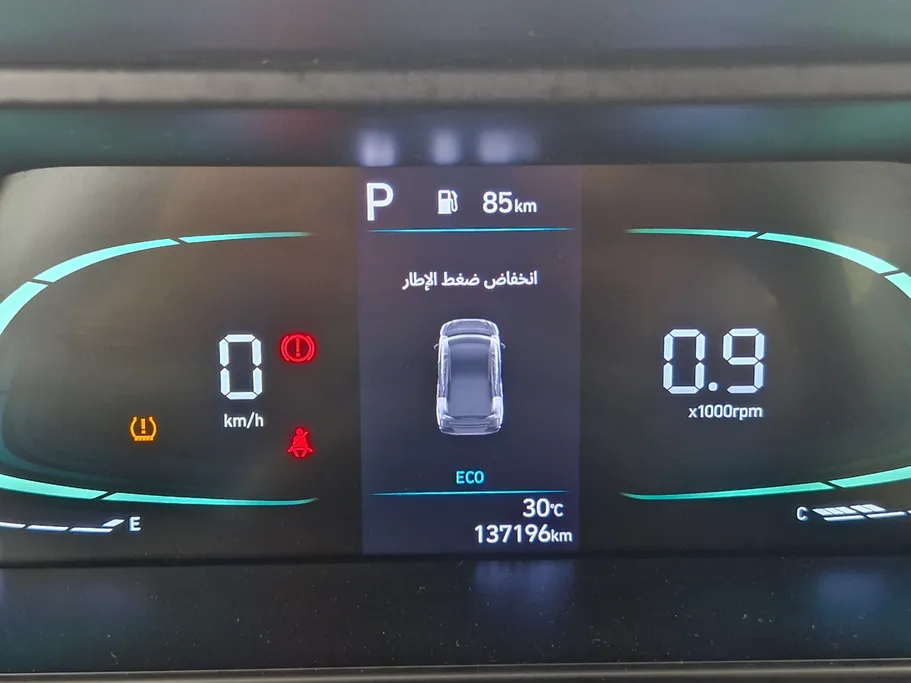 2024 Hyundai Elantra Fleet 