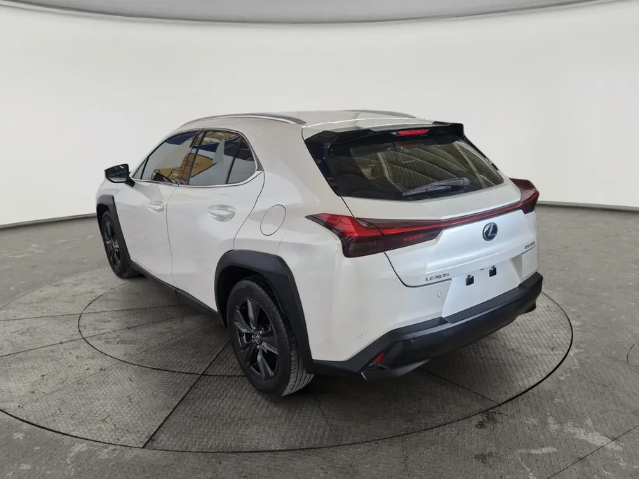 2021 Lexus UX 200 