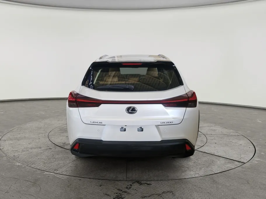 2021 Lexus UX 200 