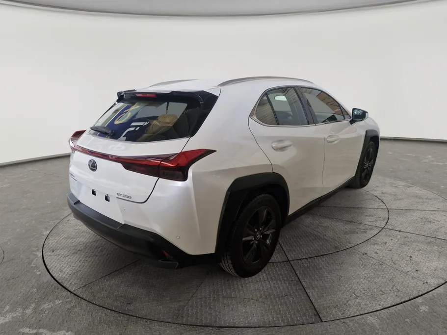 2021 Lexus UX 200 