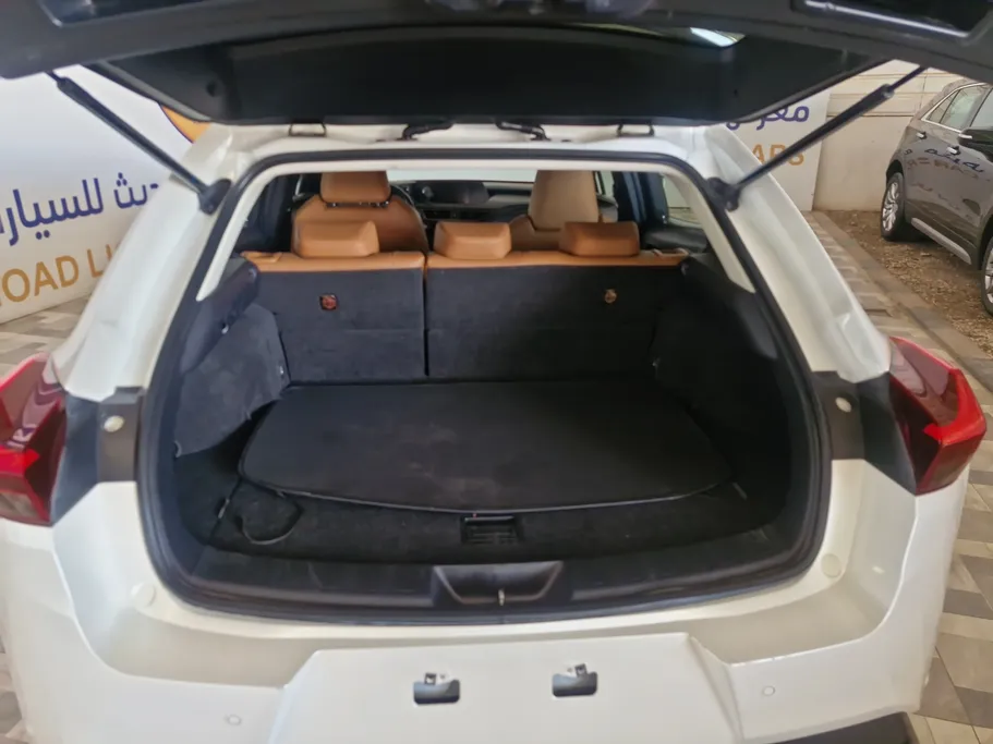 2021 Lexus UX 200 