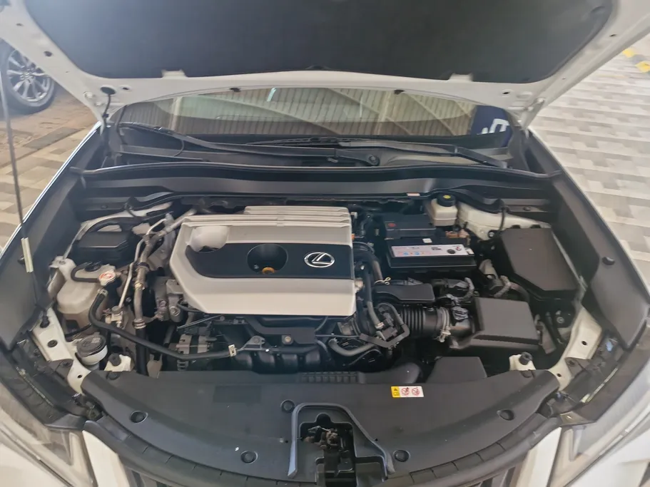 2021 Lexus UX 200 