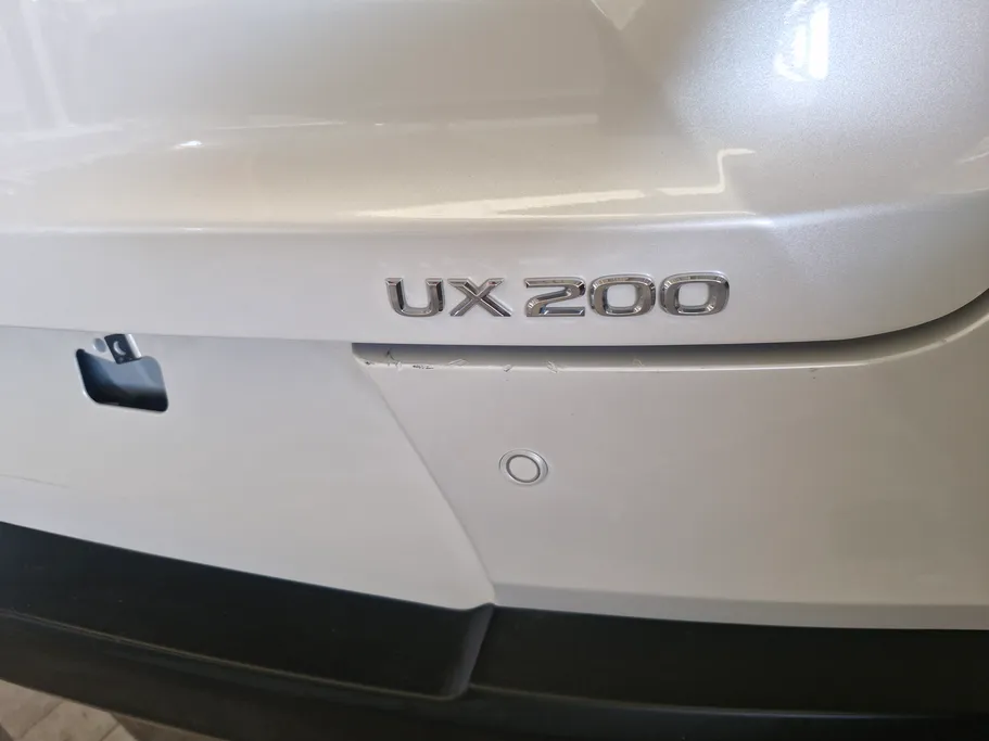 2021 Lexus UX 200 