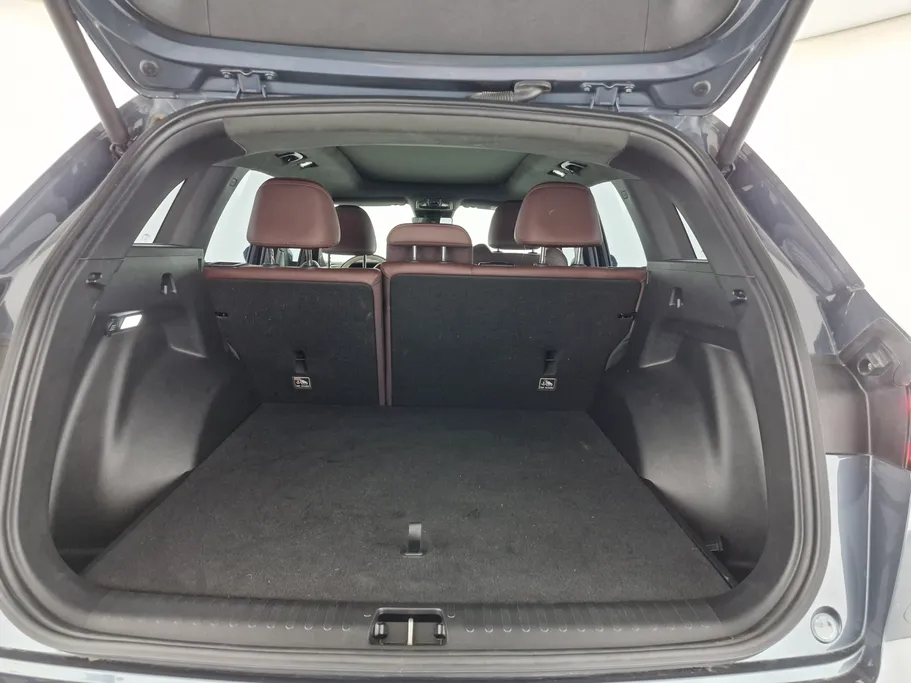 جيلي مونجارو Premium GF 2023 