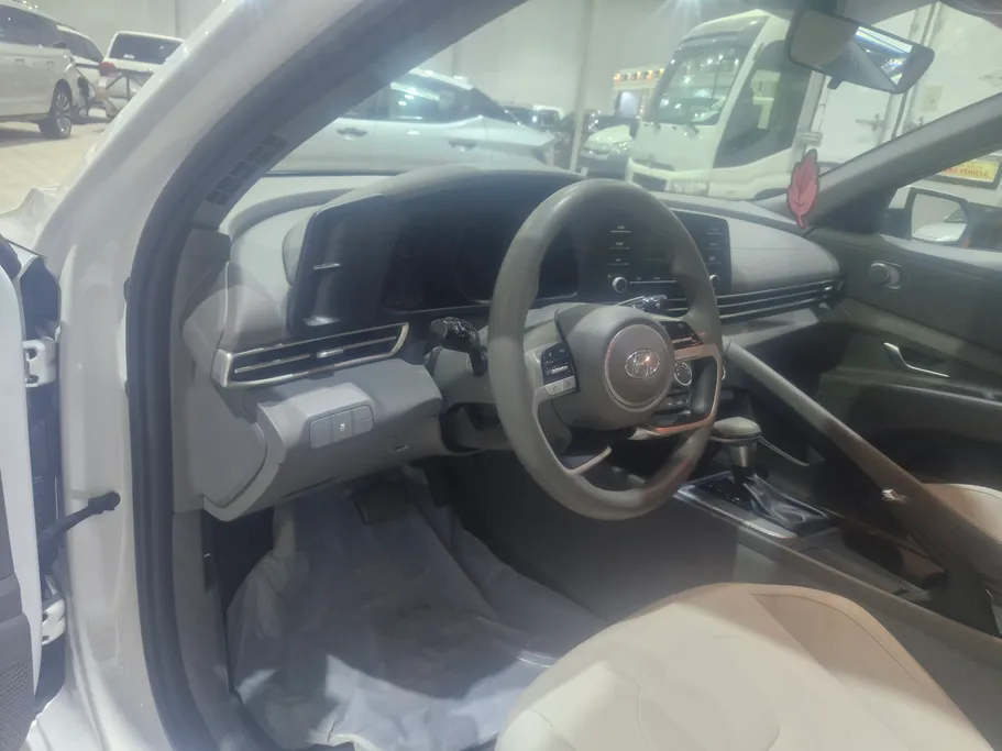 2022 Hyundai Elantra Fleet 