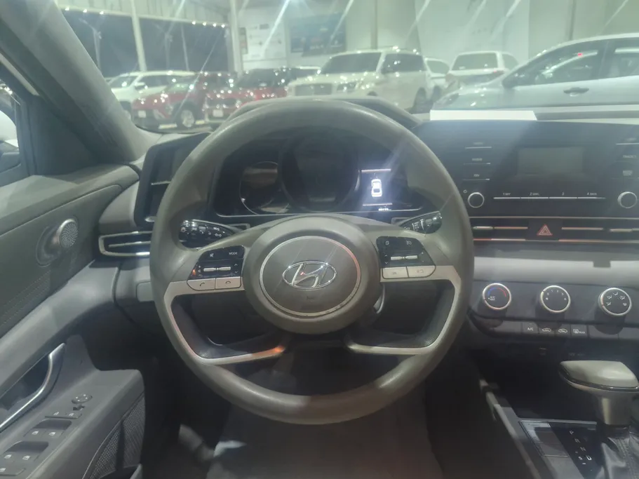 2022 Hyundai Elantra Fleet 