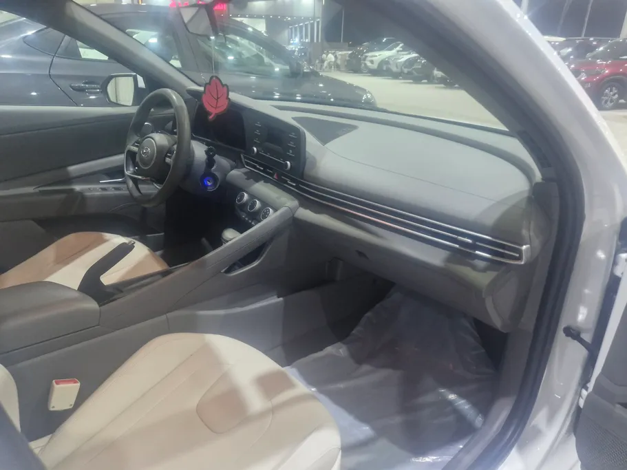 2022 Hyundai Elantra Fleet 