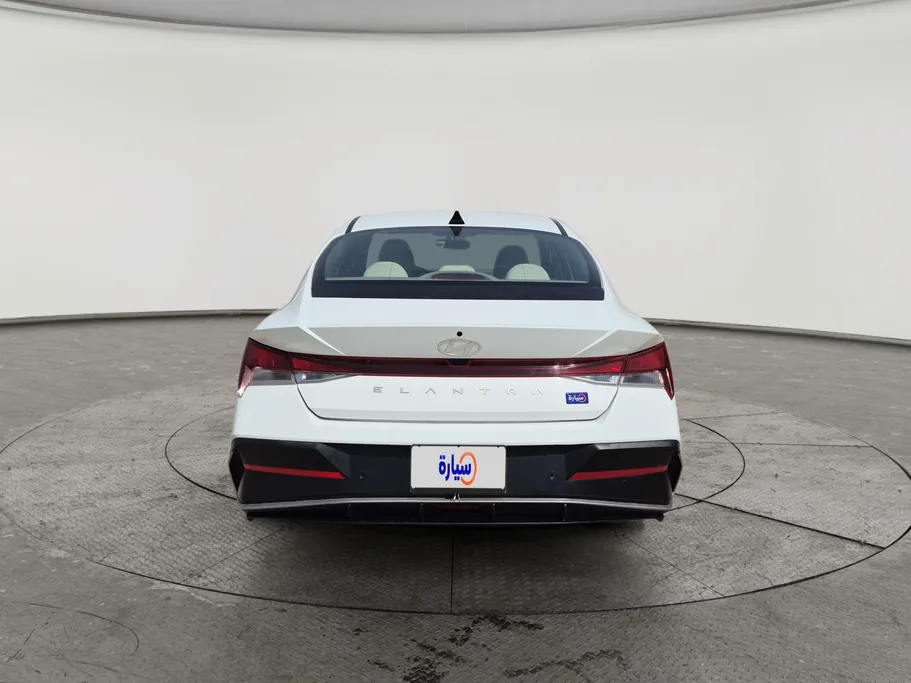2024 Hyundai Elantra Fleet 