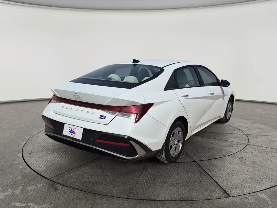 2024 Hyundai Elantra Fleet 