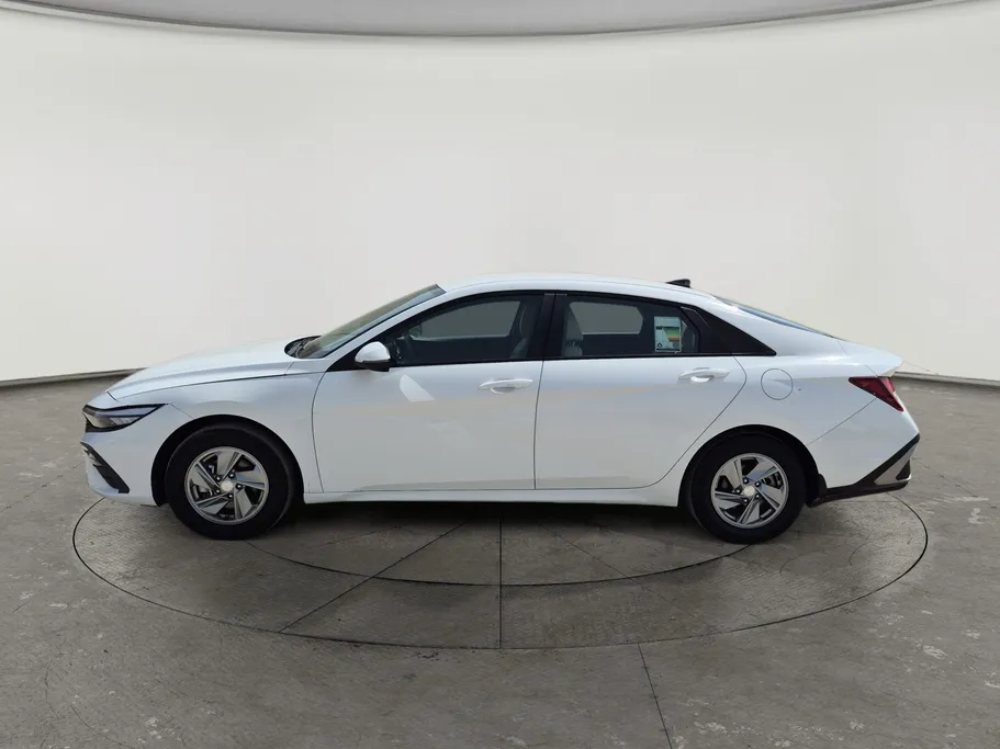 2024 Hyundai Elantra Fleet 
