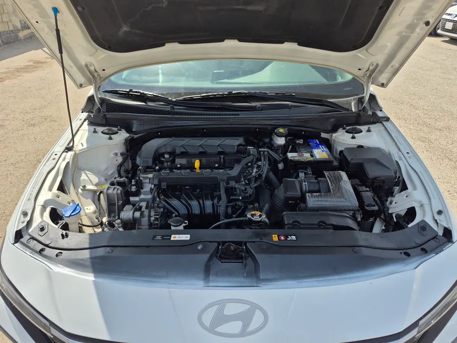 2024 Hyundai Elantra Fleet 