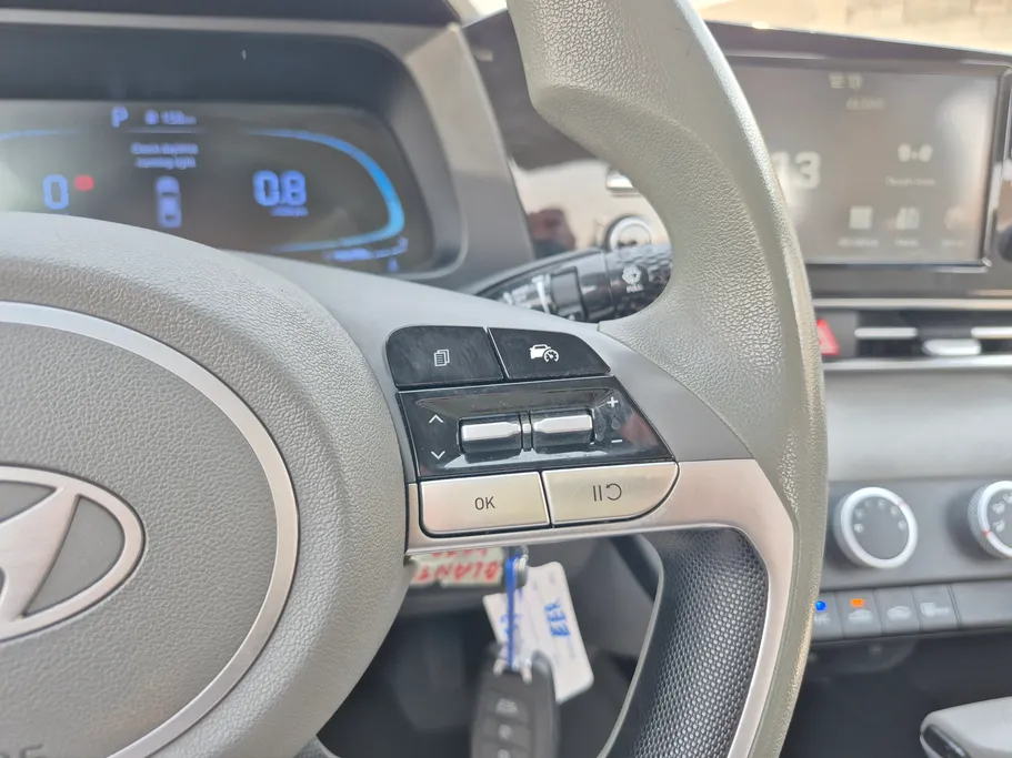 2024 Hyundai Elantra Fleet 