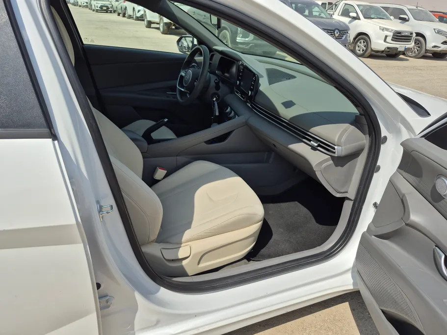 2024 Hyundai Elantra Fleet 