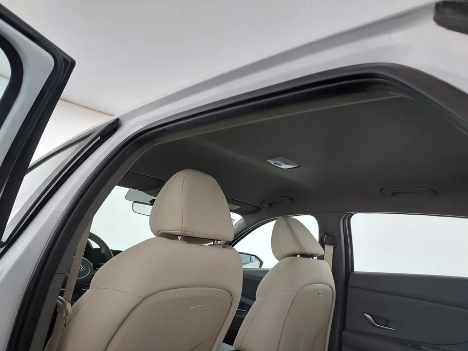 2023 Hyundai Elantra Fleet 