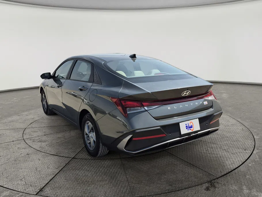 2024 Hyundai Elantra Fleet 