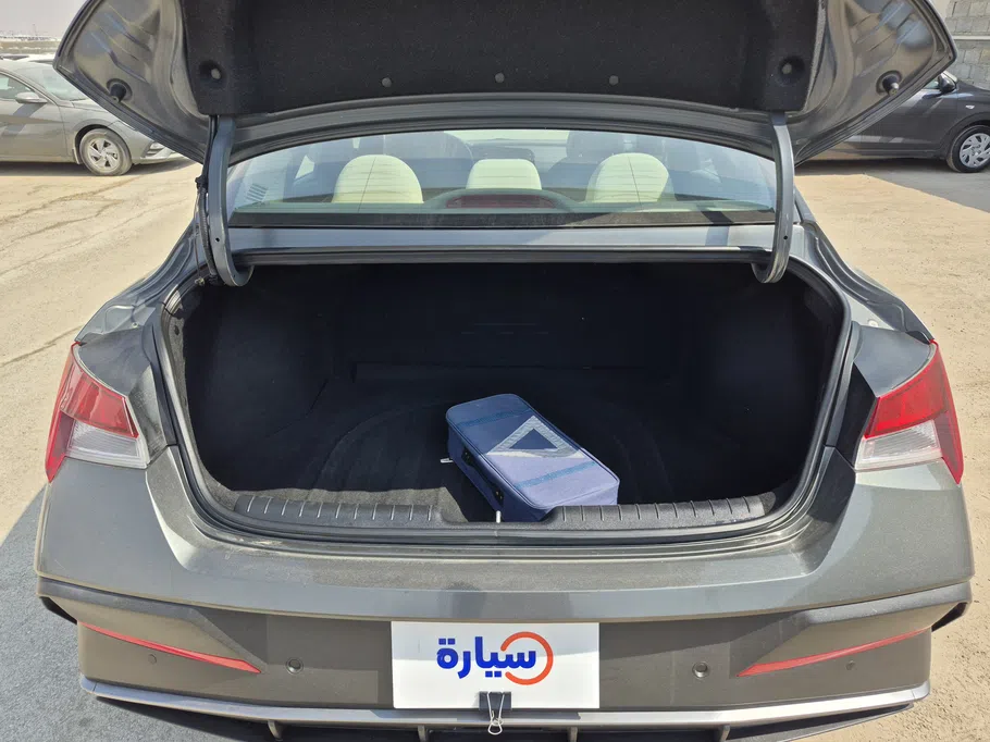 2024 Hyundai Elantra Fleet 