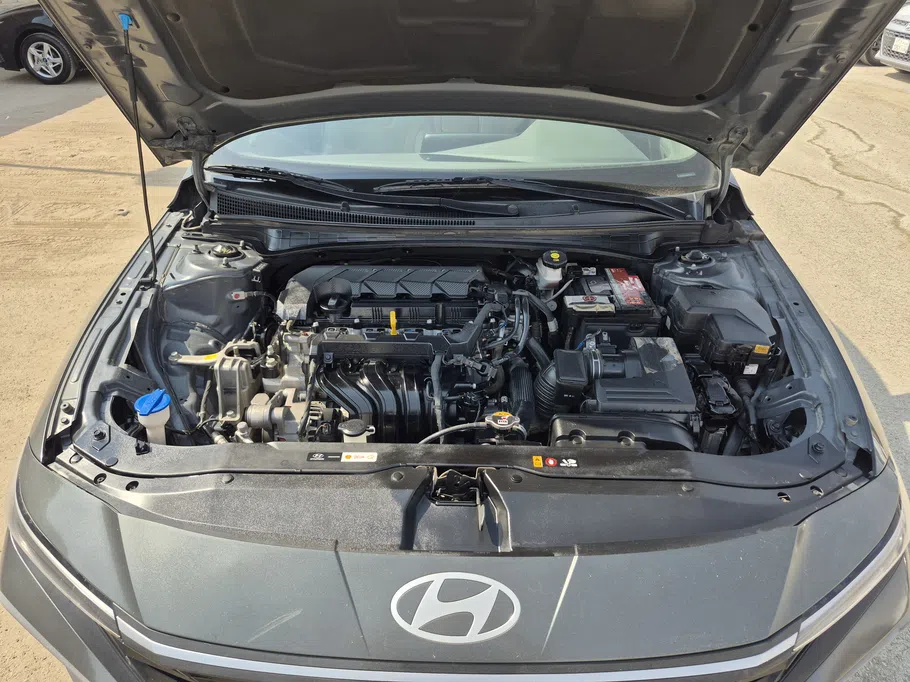 2024 Hyundai Elantra Fleet 