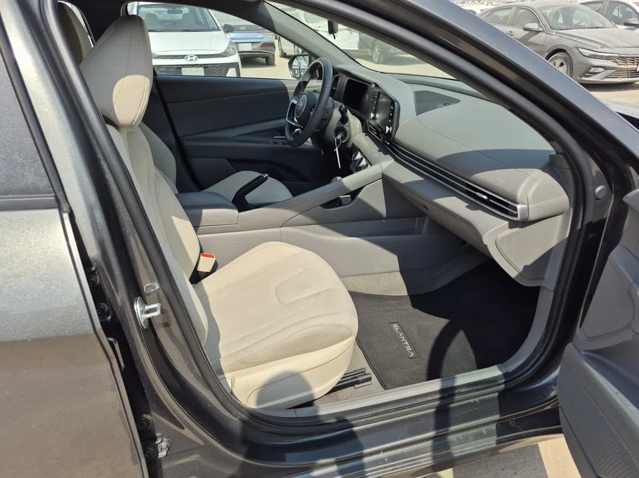 2024 Hyundai Elantra Fleet 