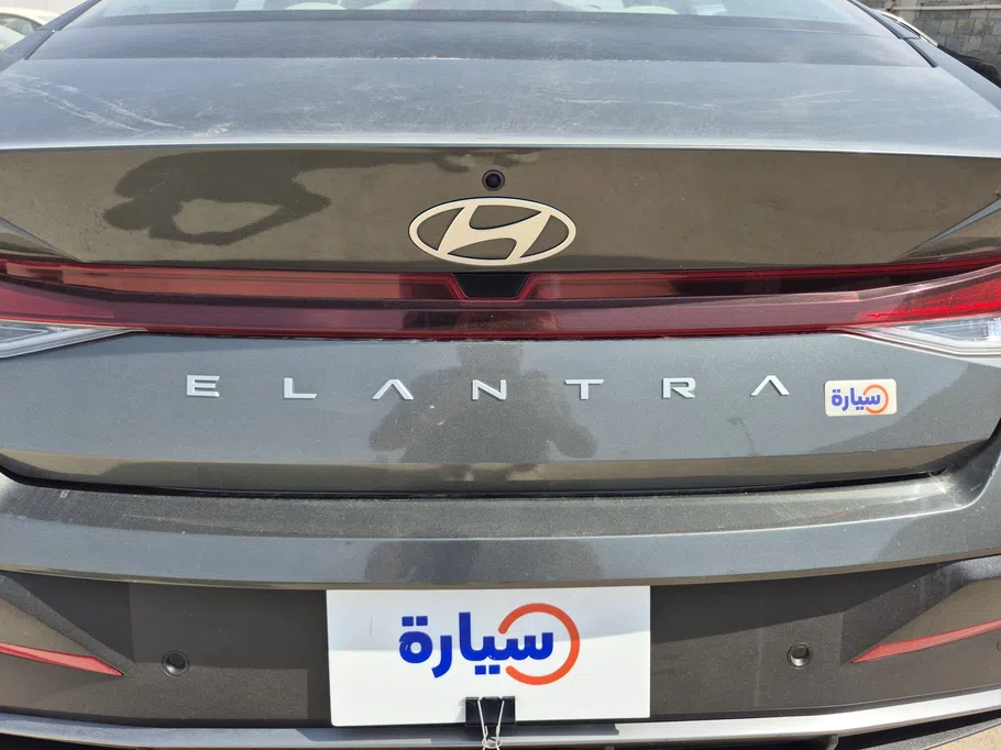 2024 Hyundai Elantra Fleet 