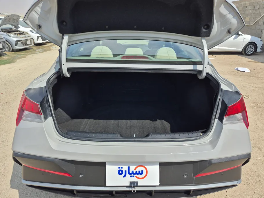 2024 Hyundai Elantra Fleet 
