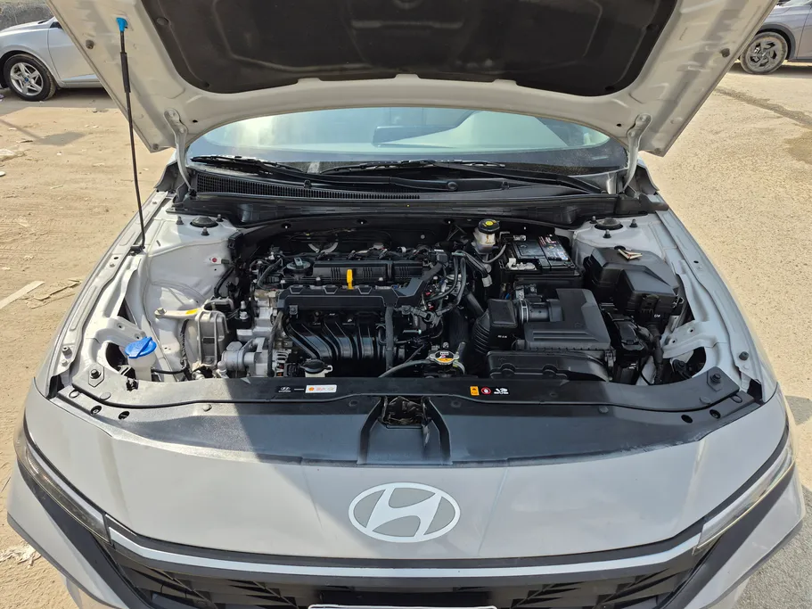 2024 Hyundai Elantra Fleet 