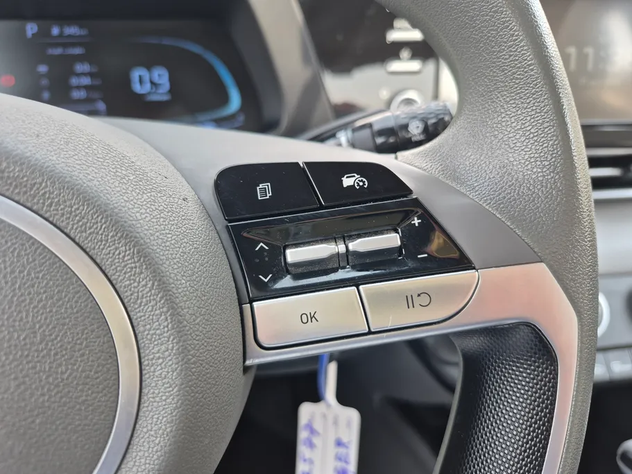 2024 Hyundai Elantra Fleet 