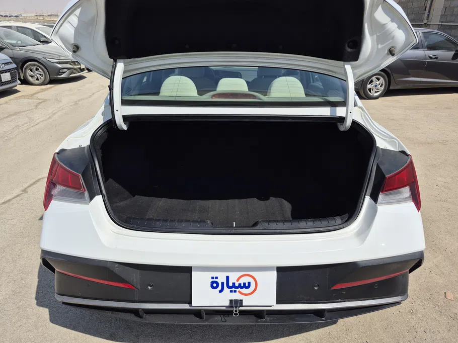 2024 Hyundai Elantra Fleet 