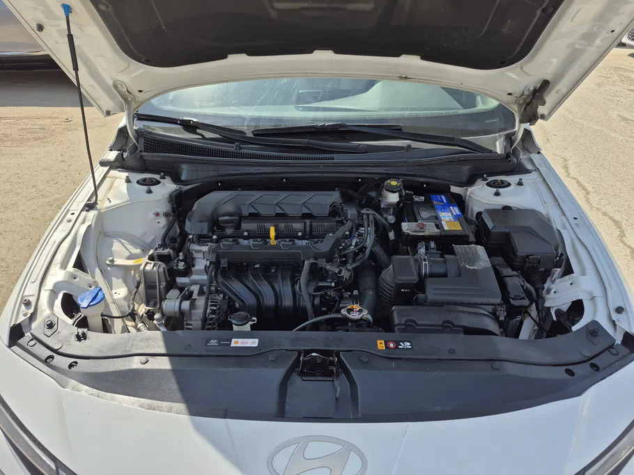 2024 Hyundai Elantra Fleet 