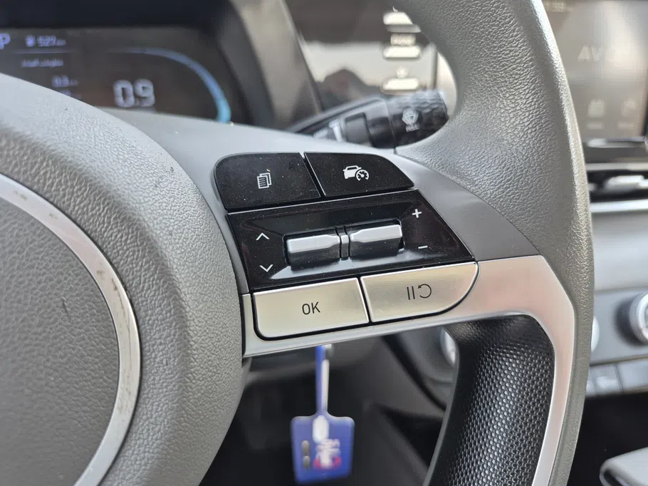 2024 Hyundai Elantra Fleet 