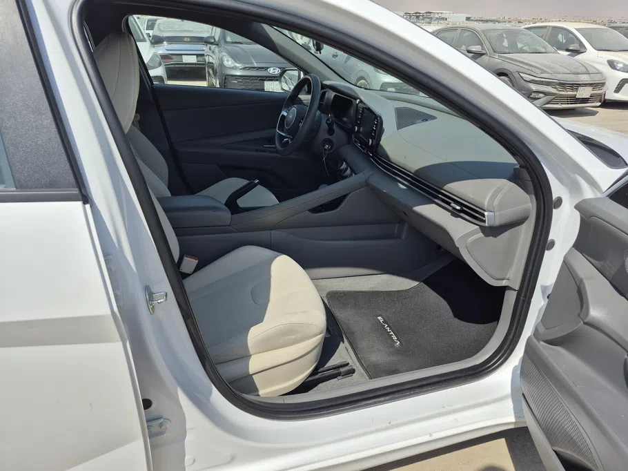 2024 Hyundai Elantra Fleet 