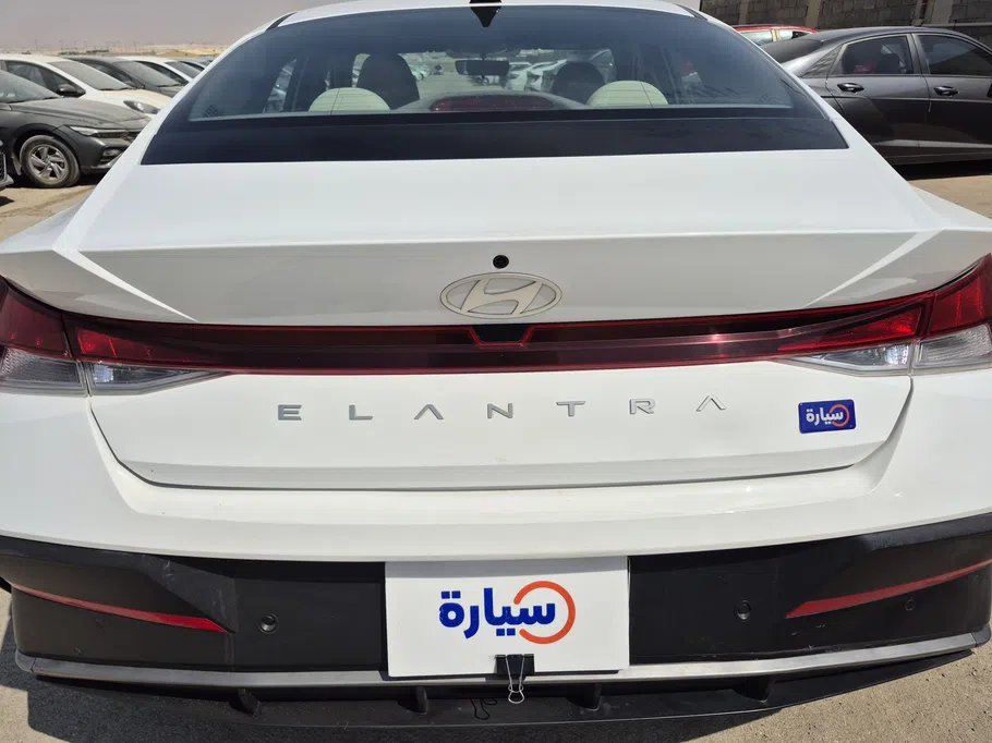 2024 Hyundai Elantra Fleet 