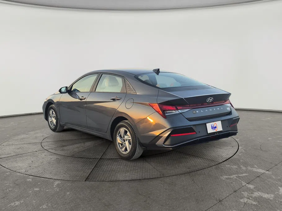 2024 Hyundai Elantra Fleet 