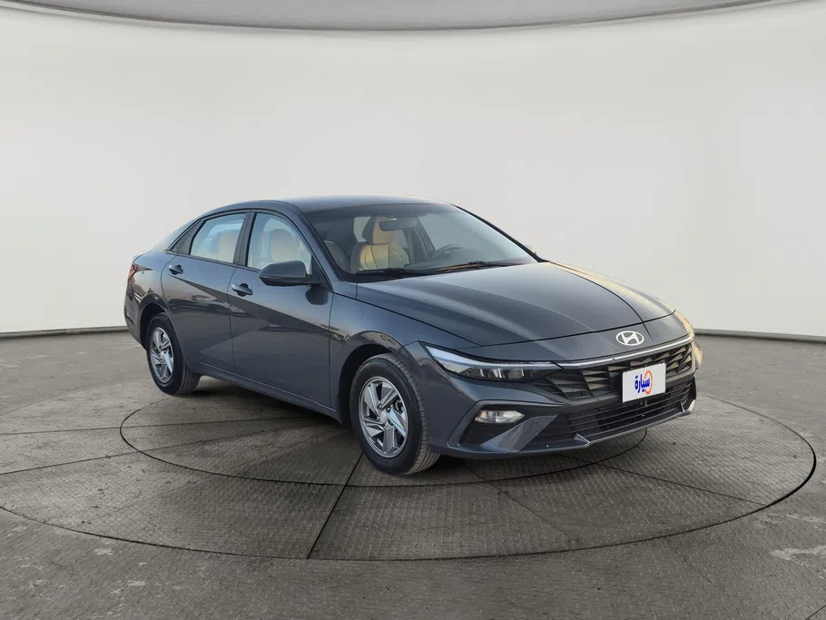 2024 Hyundai Elantra Fleet 