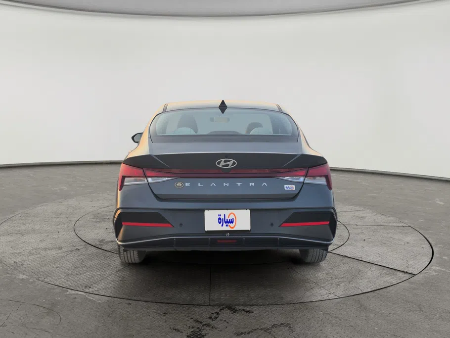 2024 Hyundai Elantra Fleet 