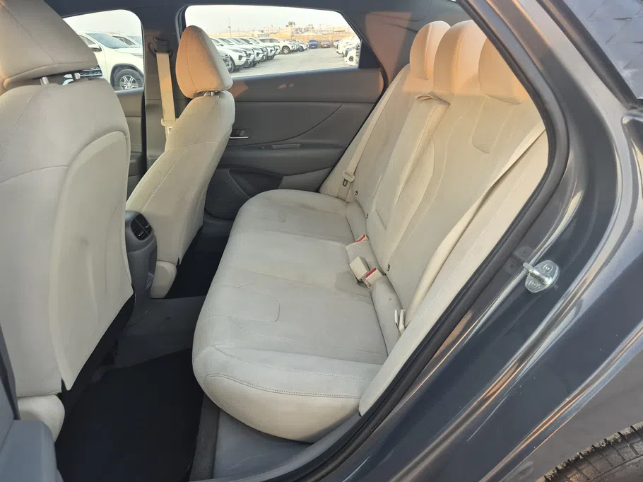 2024 Hyundai Elantra Fleet 