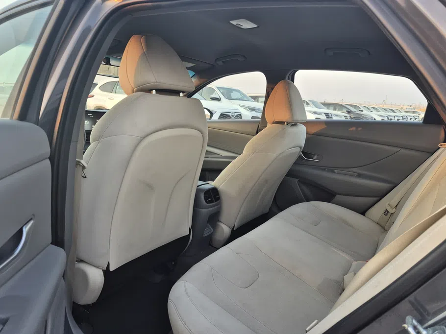 2024 Hyundai Elantra Fleet 