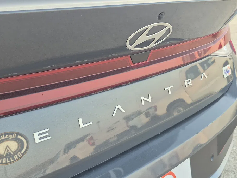 2024 Hyundai Elantra Fleet 