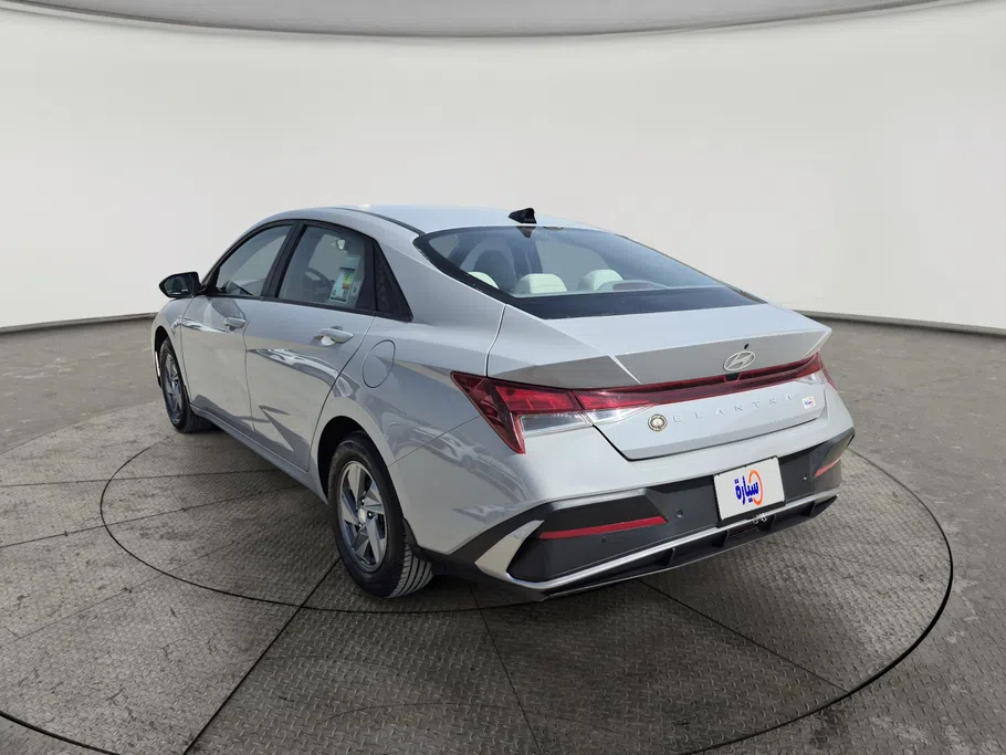 2024 Hyundai Elantra Fleet 