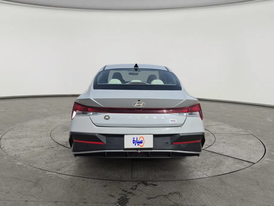 2024 Hyundai Elantra Fleet 
