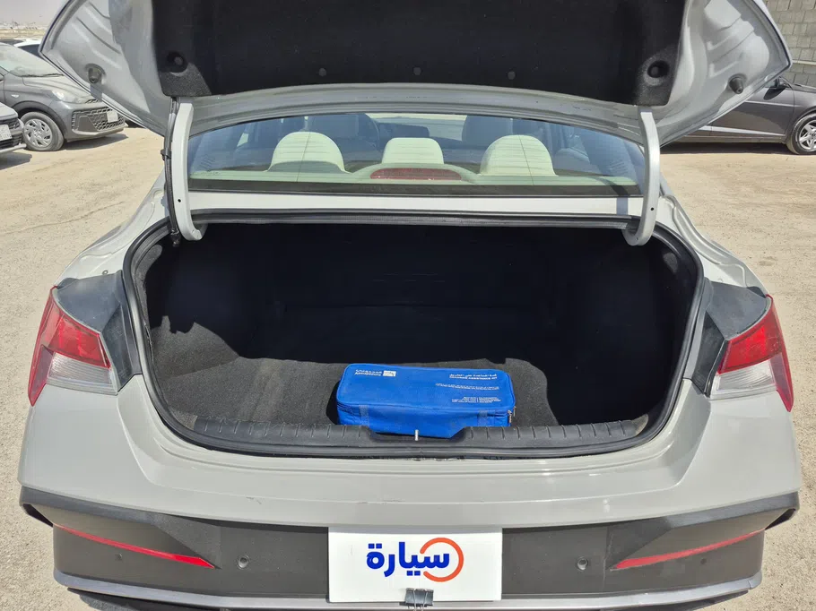 2024 Hyundai Elantra Fleet 