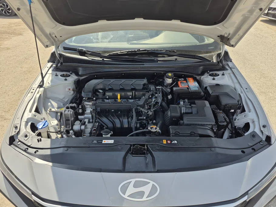 2024 Hyundai Elantra Fleet 