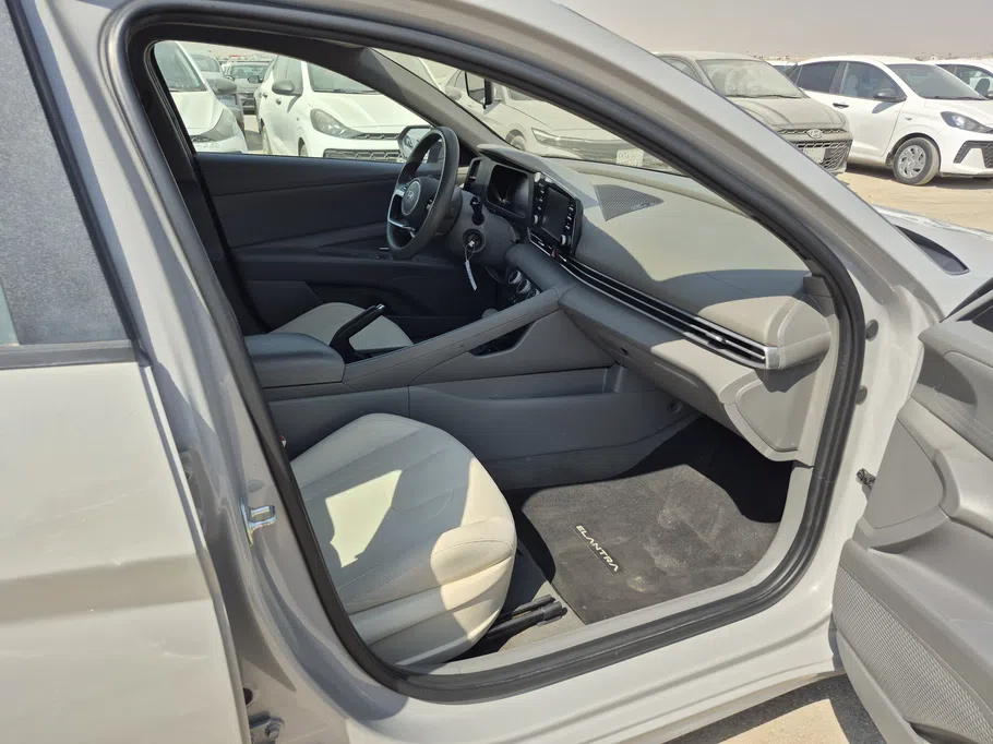 2024 Hyundai Elantra Fleet 