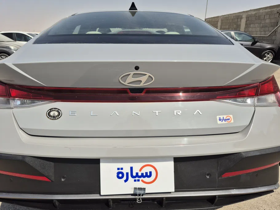 2024 Hyundai Elantra Fleet 