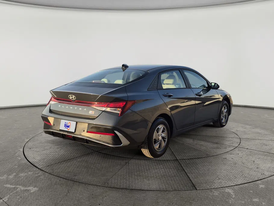 2024 Hyundai Elantra Fleet 