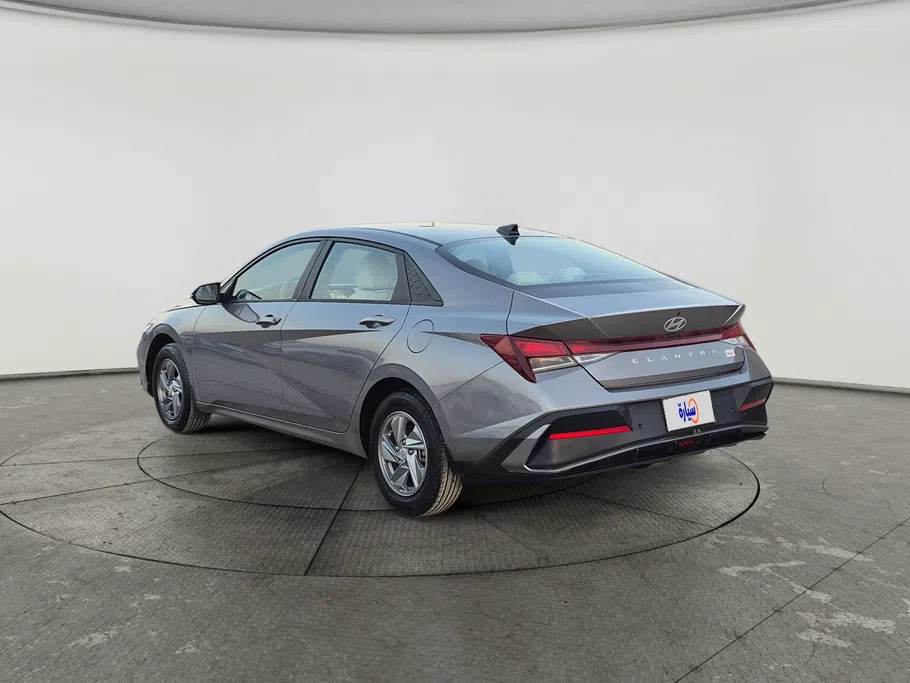 2024 Hyundai Elantra Fleet 