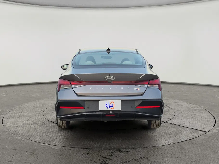 2024 Hyundai Elantra Fleet 