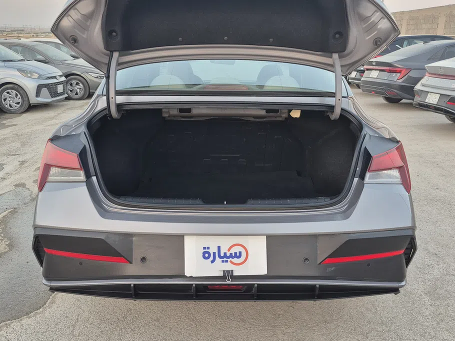 2024 Hyundai Elantra Fleet 